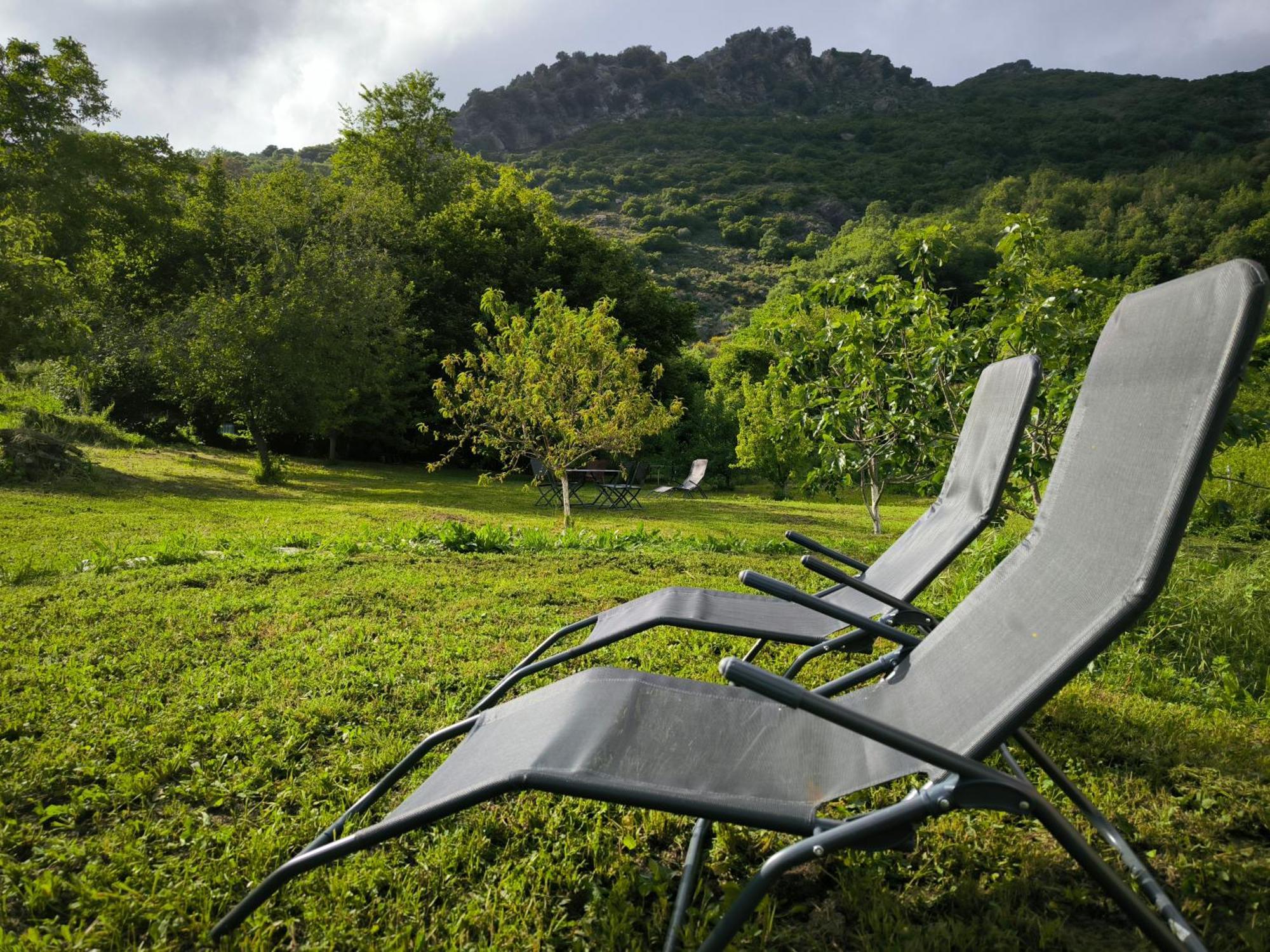 Apartamento U Mulinu Moita Exterior foto
